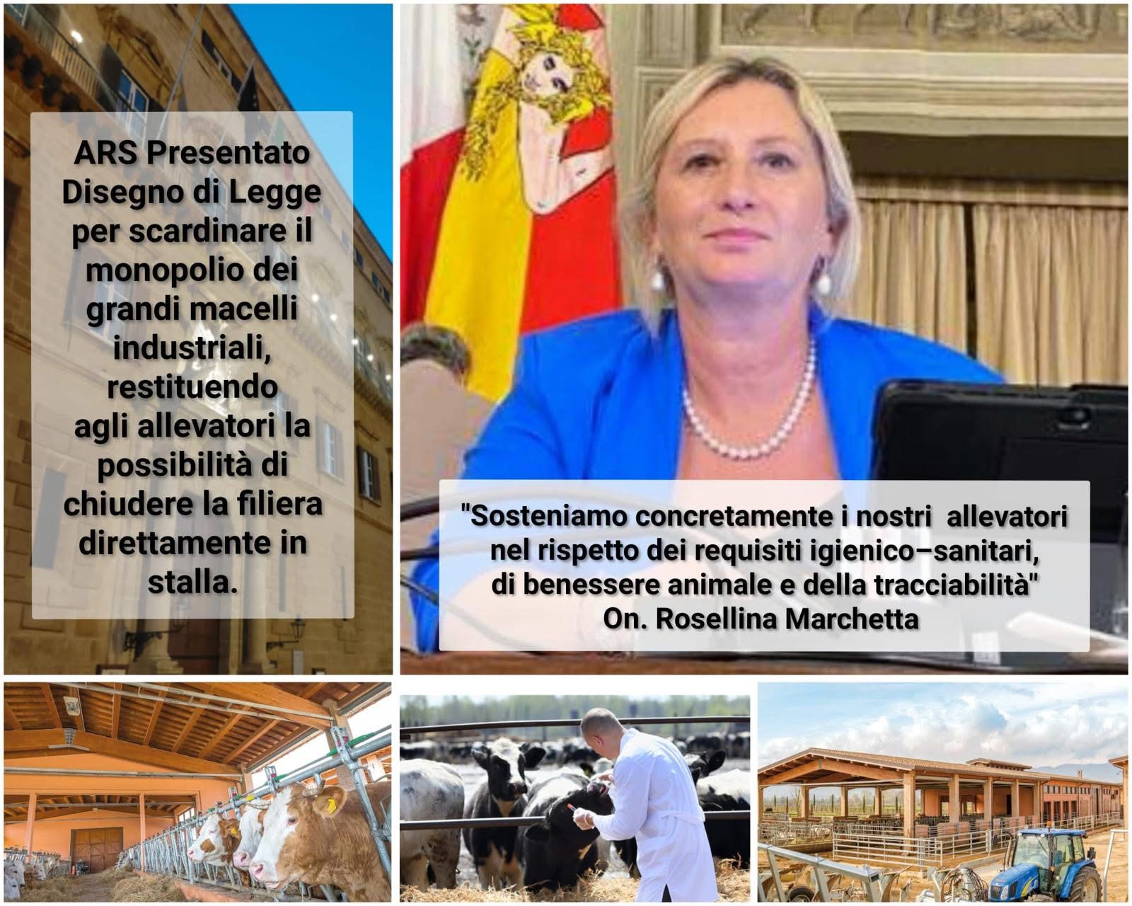 Scopri di più sull'articolo Meno burocrazia, più qualità e più rispetto per gli animali